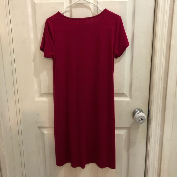 Cupio Pink Dress - Picture 4 of 5